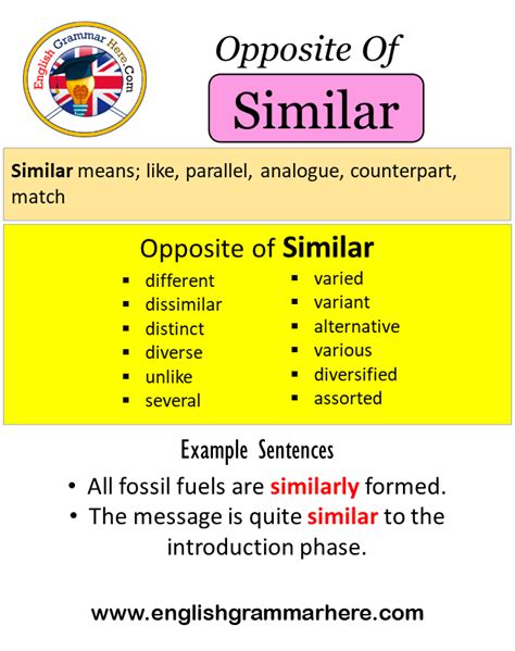 ADAPTER Synonyms: 45 Similar and Opposite Words